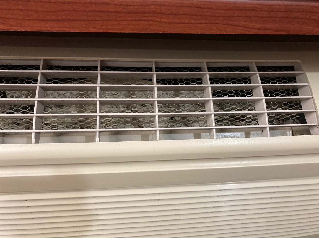 Microtel Inn & Suites By Wyndham Manistee主图