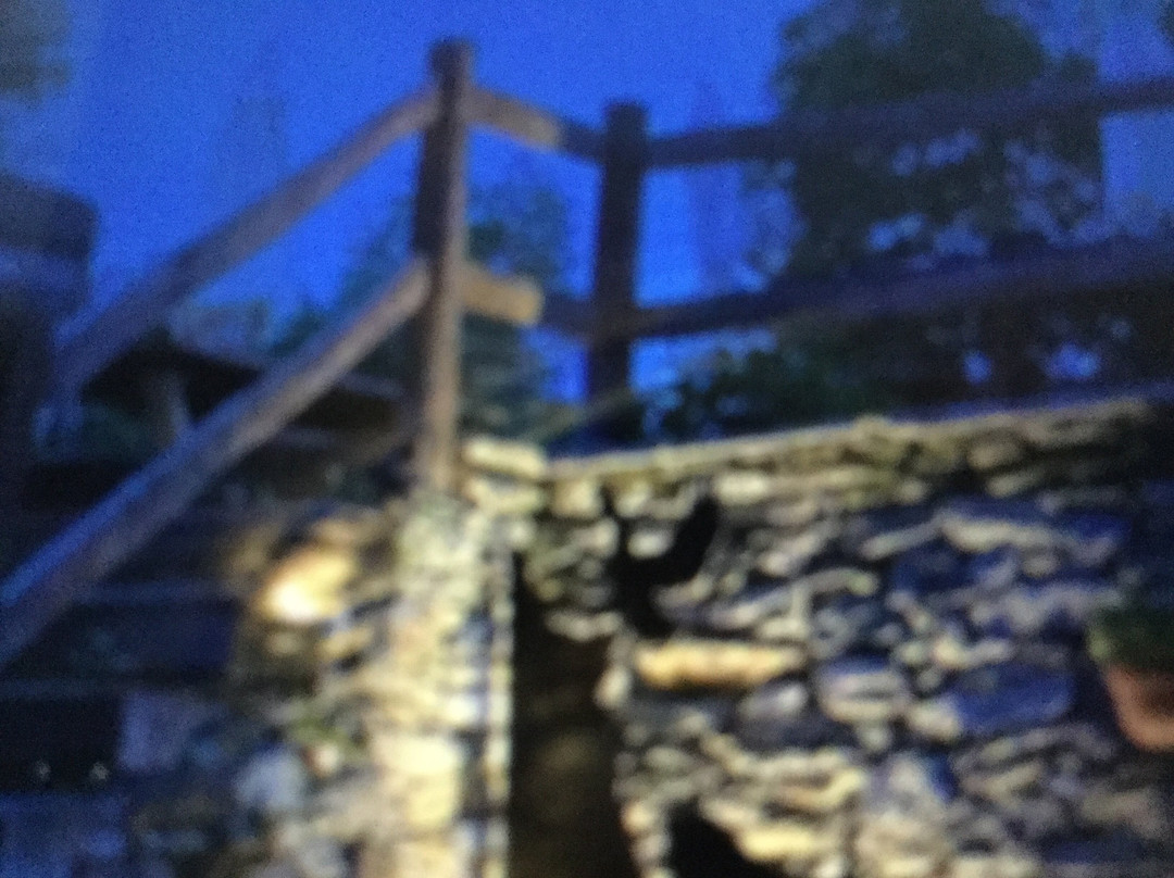 Agriturismo Il Fiocco主图