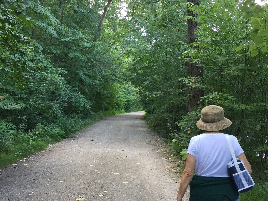 Nichols Arboretum-安娜堡必去景点