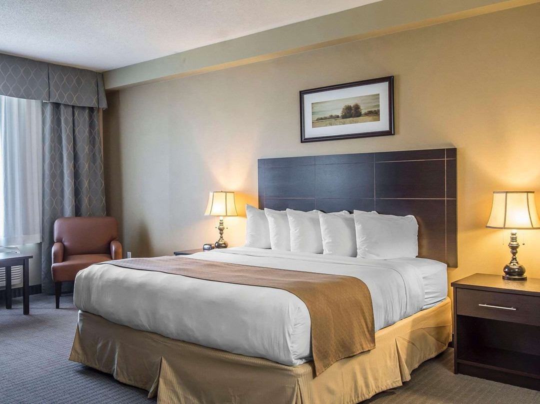 Quality Inn & Suites主图