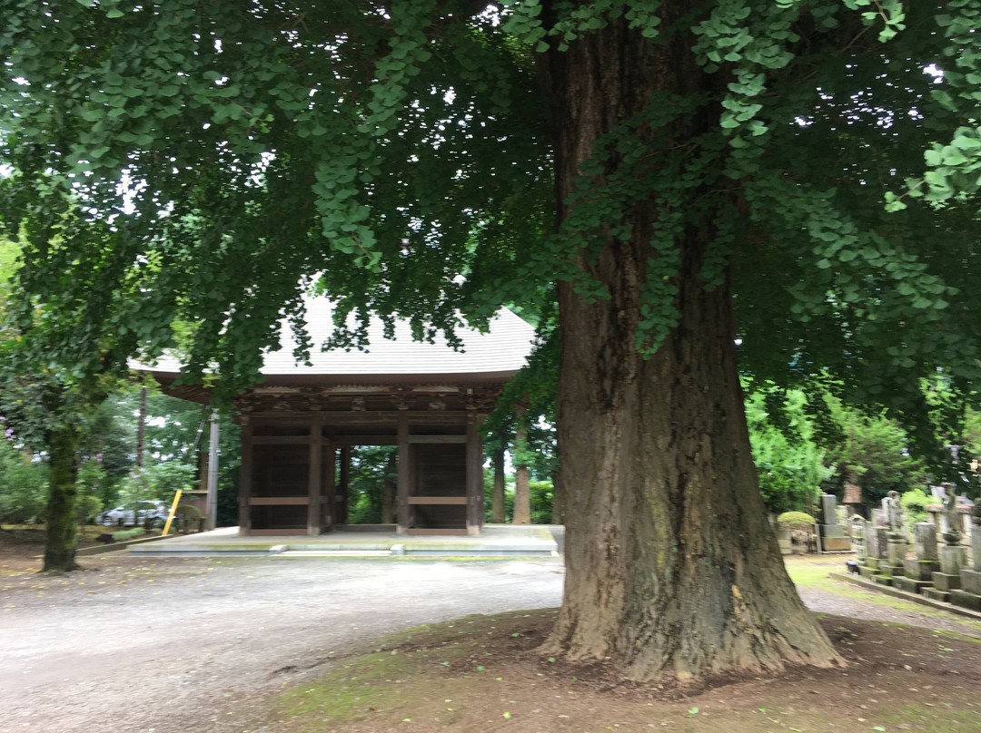 Senpukuji Temple-桶川市必去景点