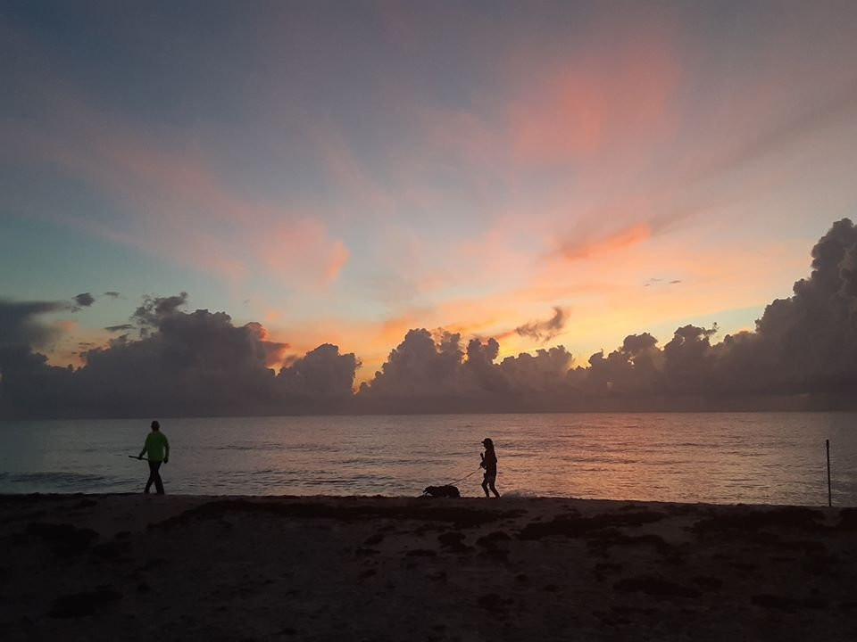 维洛海滩汽车旅馆主图