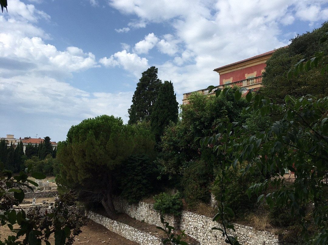 Parc des Arènes de Cimiez-尼斯必去景点