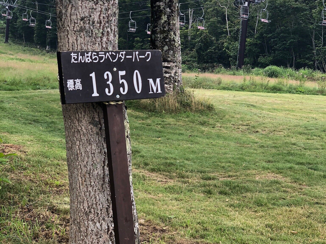 Tambara Lavender Park-沼田市必去景点