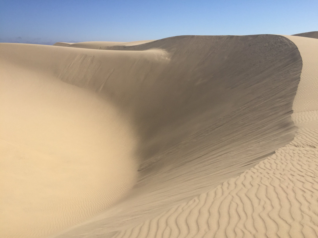 Oceano Dunes Natural Preserve景点图片