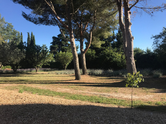 Le Clos Des Cyprès B&B主图