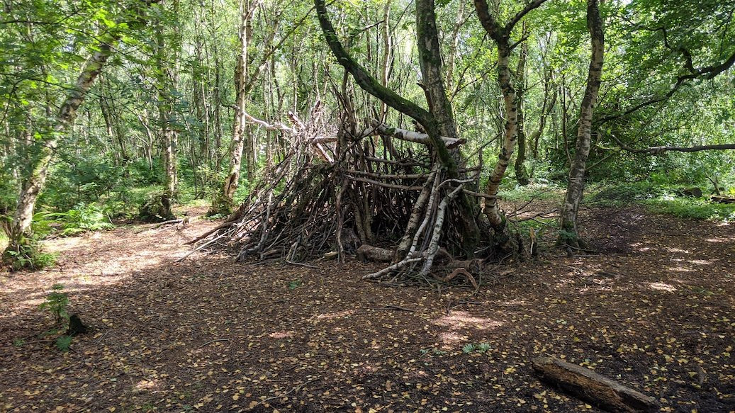 Lenzie Moss-Lenzie必去景点