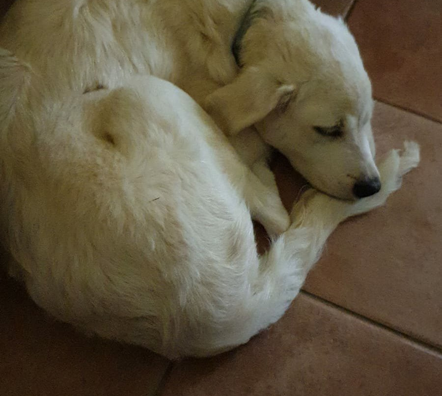 Agriturismo Baratz主图