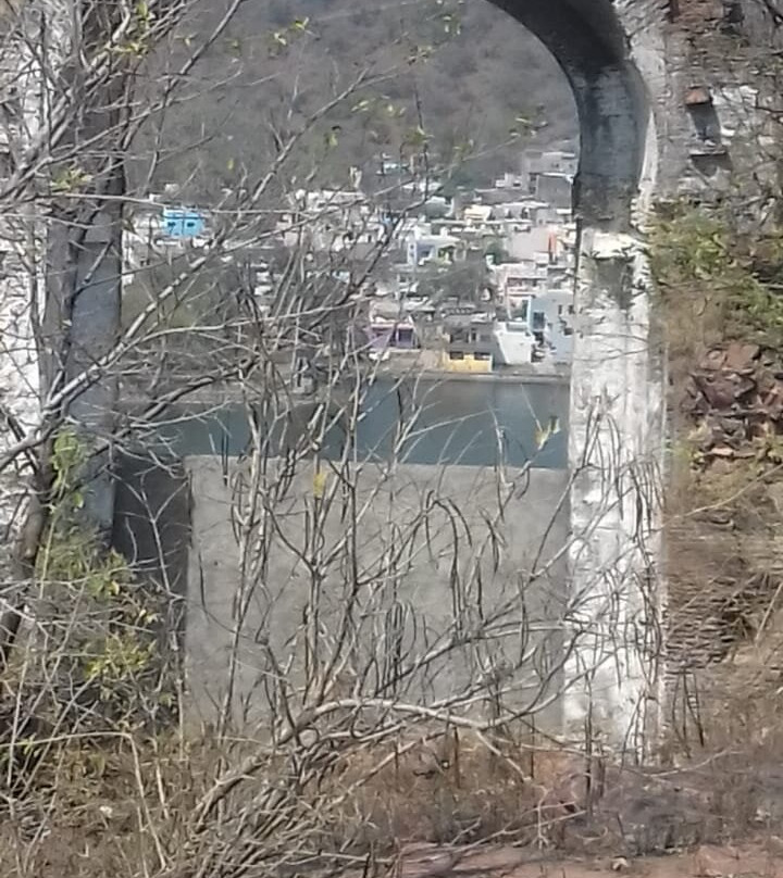 Narsinghgarh Wildlife Sanctuary景点图片