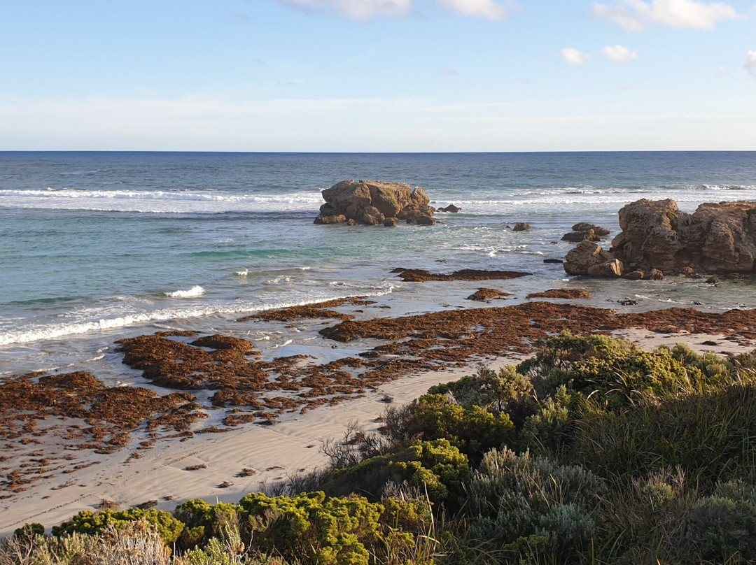 Cape Banks Lighthouse-Carpenter's Rocks必去景点