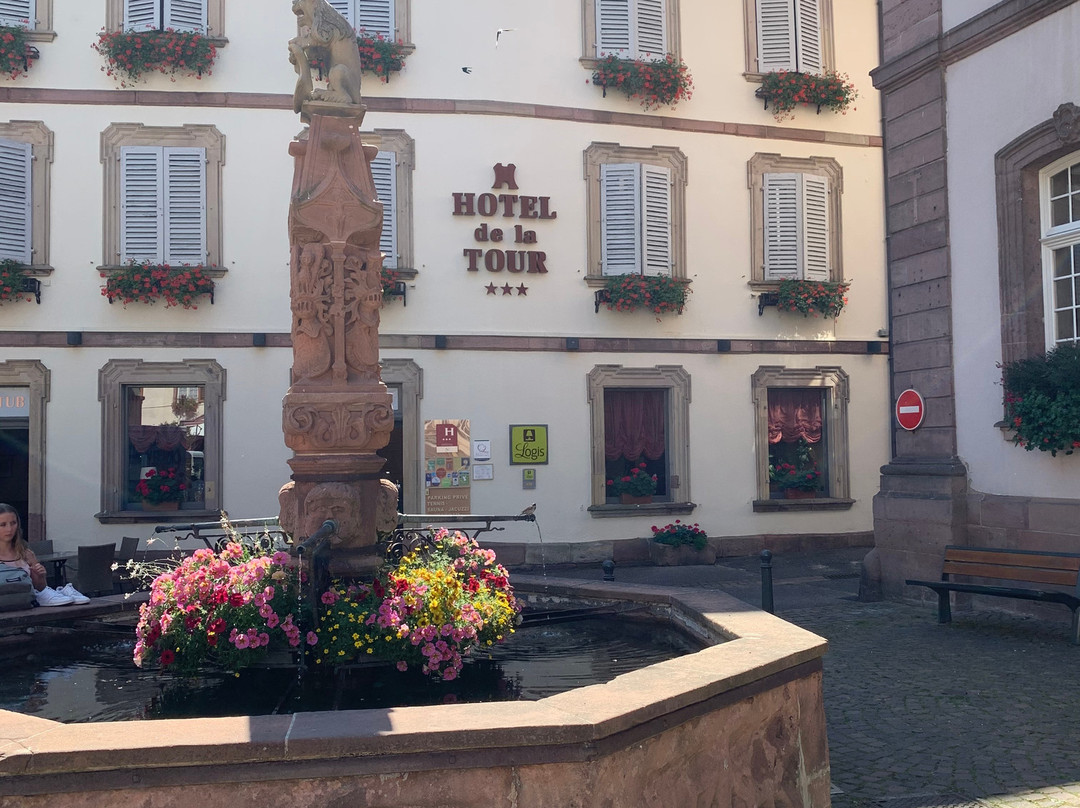 Hotel de la Tour - Ribeauville主图