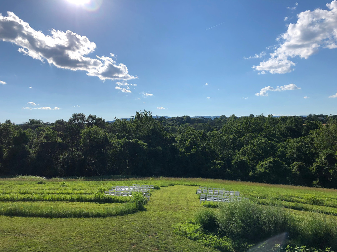 Orchid Cellar Meadery And Winery-Middletown必去景点