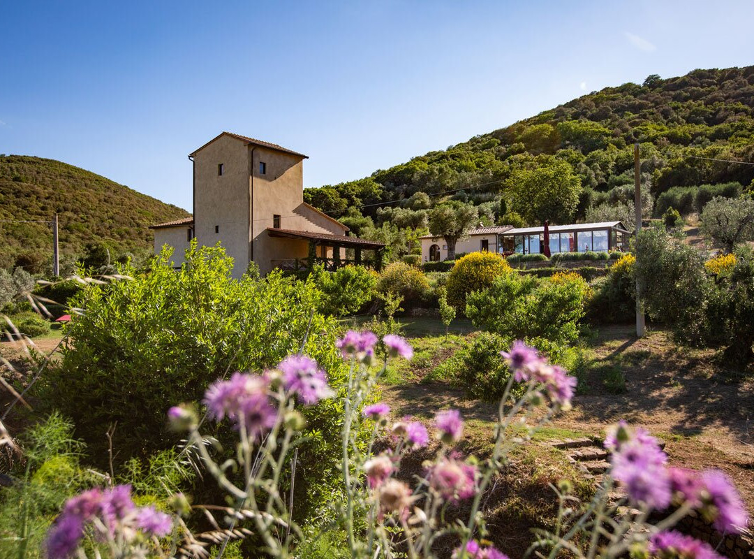 Torre di Baratti Bio Resort