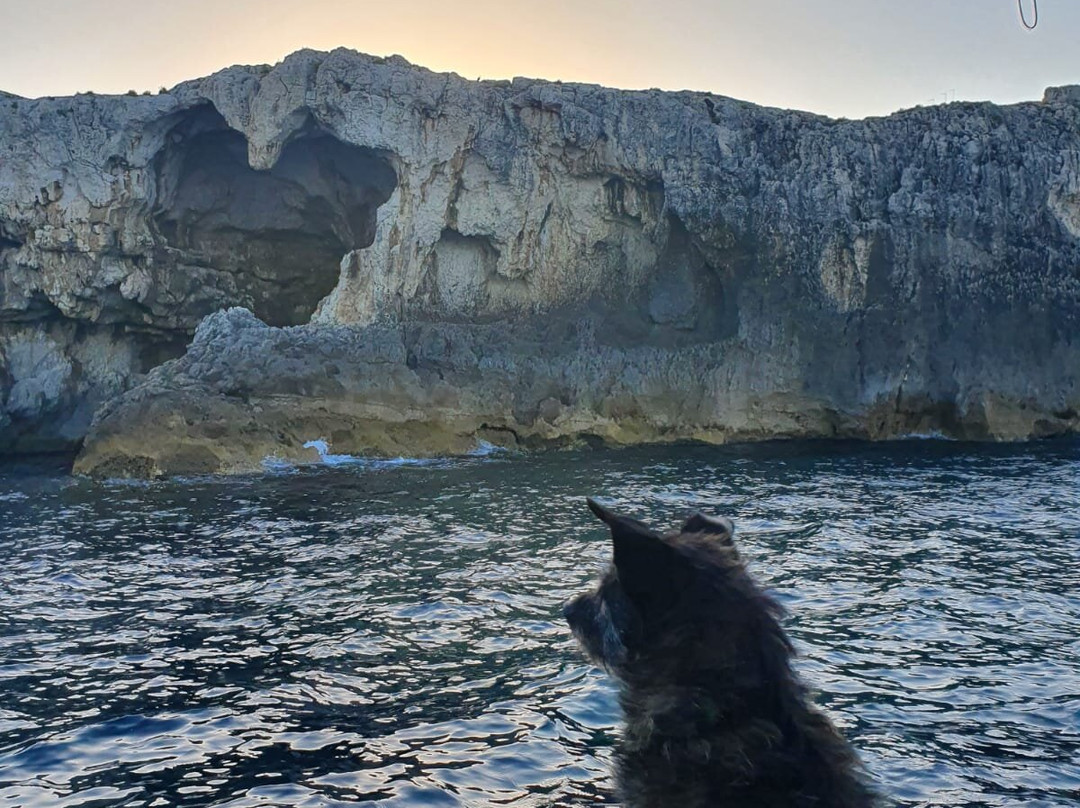 Ortigia Mare Escursioni-锡拉库扎必去景点