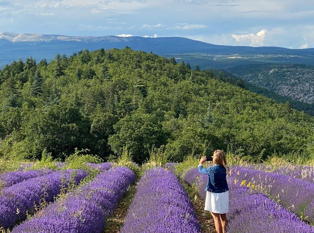 Visite Provence Excursion Unique景点图片
