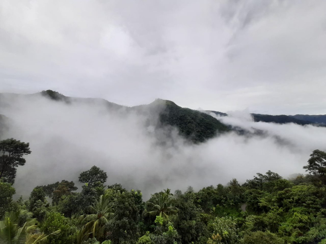 Serenity Panchalimedu主图