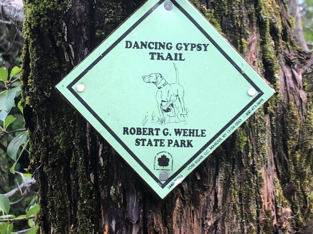 Robert G. Wehle State Park景点图片