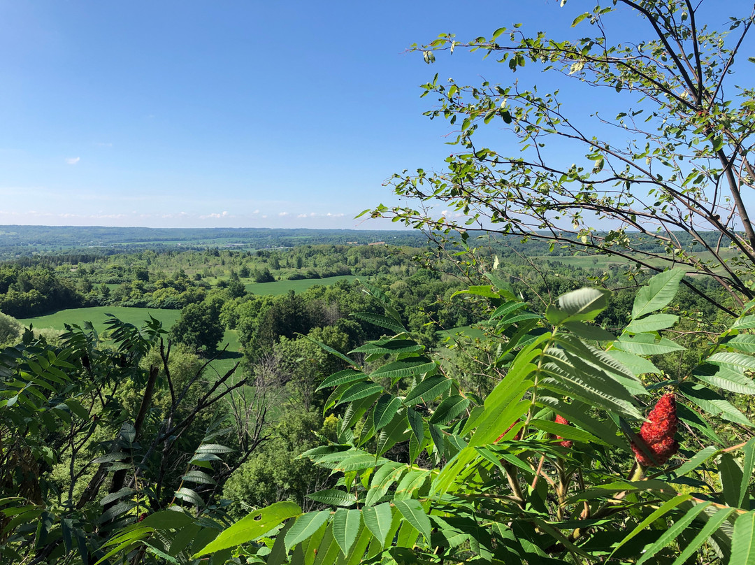 Rattlesnake Point Conservation Area-Milton必去景点