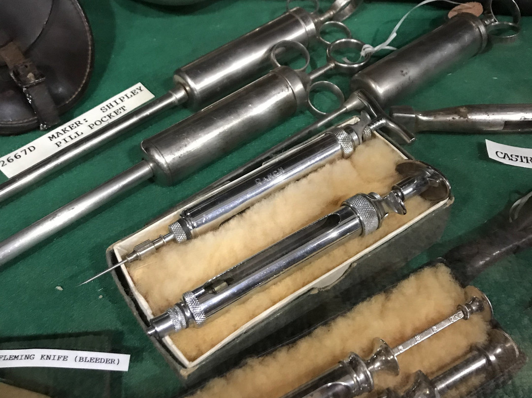 King's Saddlery and Museum-谢里登必去景点