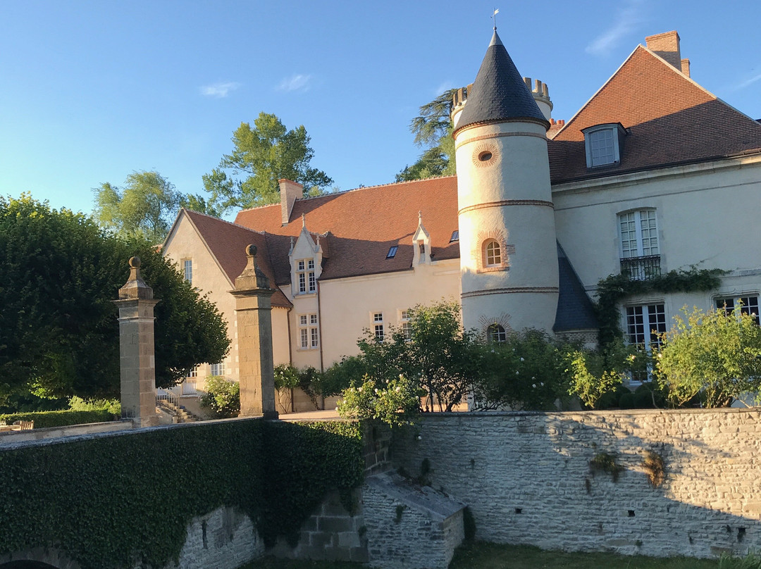Château de Pesselières景点图片