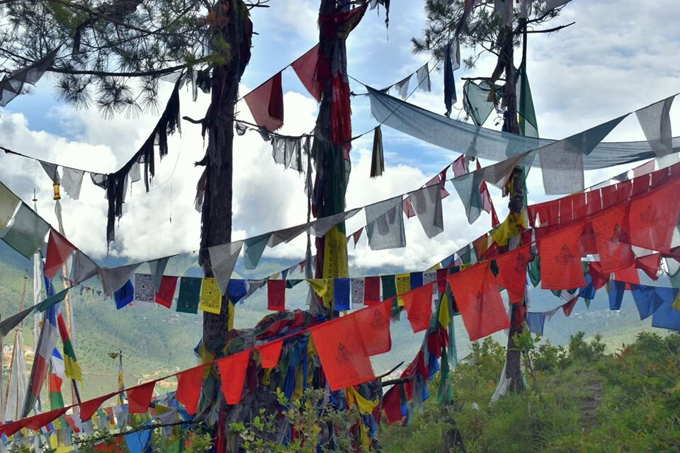 Tumbler Point Hiking Trail-Tumbler Ridge必去景点
