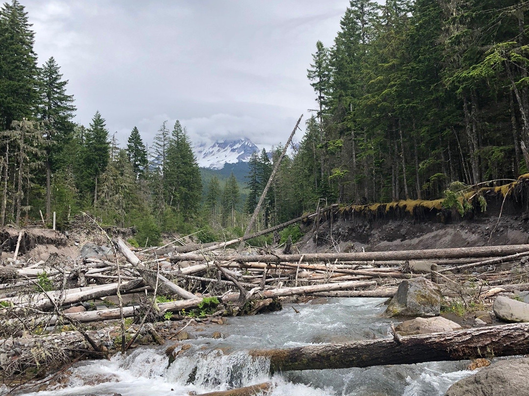 Ramona Falls Trail-Rhododendron必去景点