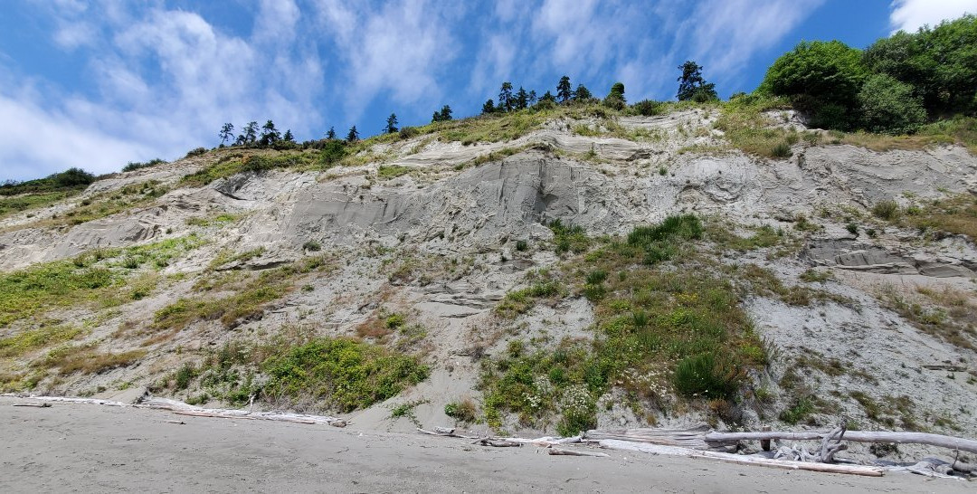 Double Bluff Beach景点图片