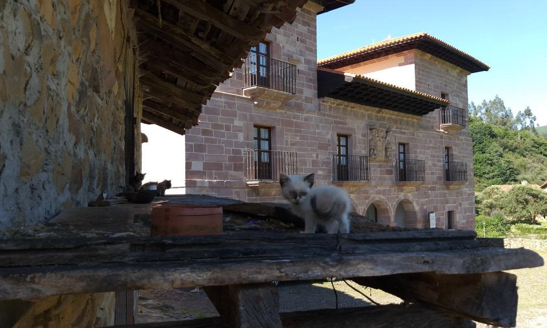 Palacio de Los Mier-Carmona必去景点
