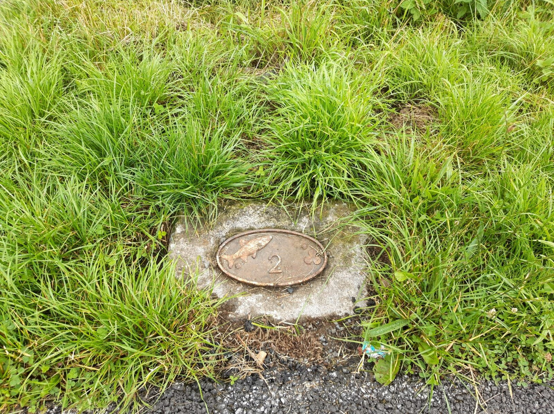 Old Rail Trail-Mullingar必去景点