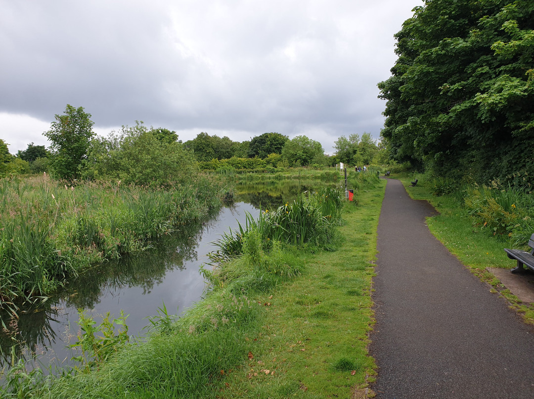 Shaftesbury Park and Carrickfergus Mill Ponds景点图片