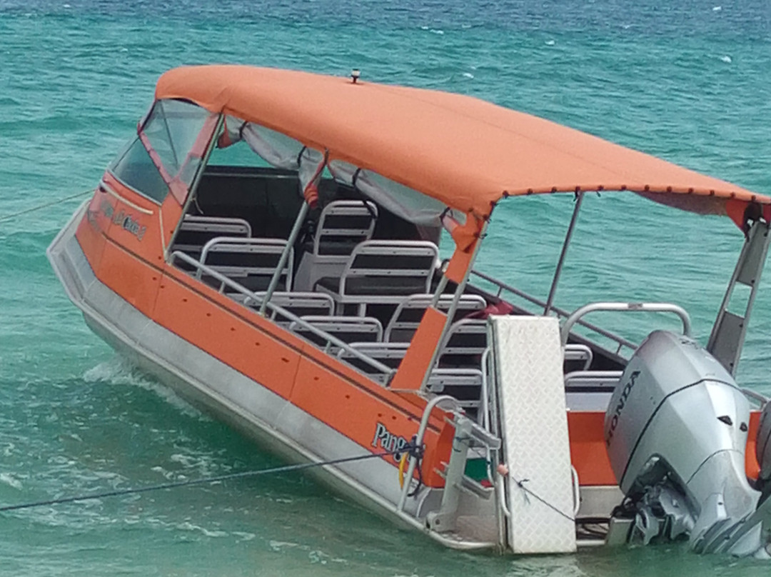 Kasa Diving - Diving Maziwe Marine Reserve-Pangani必去景点