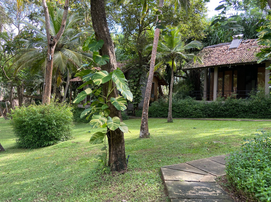 棕榈天堂小屋别墅主图