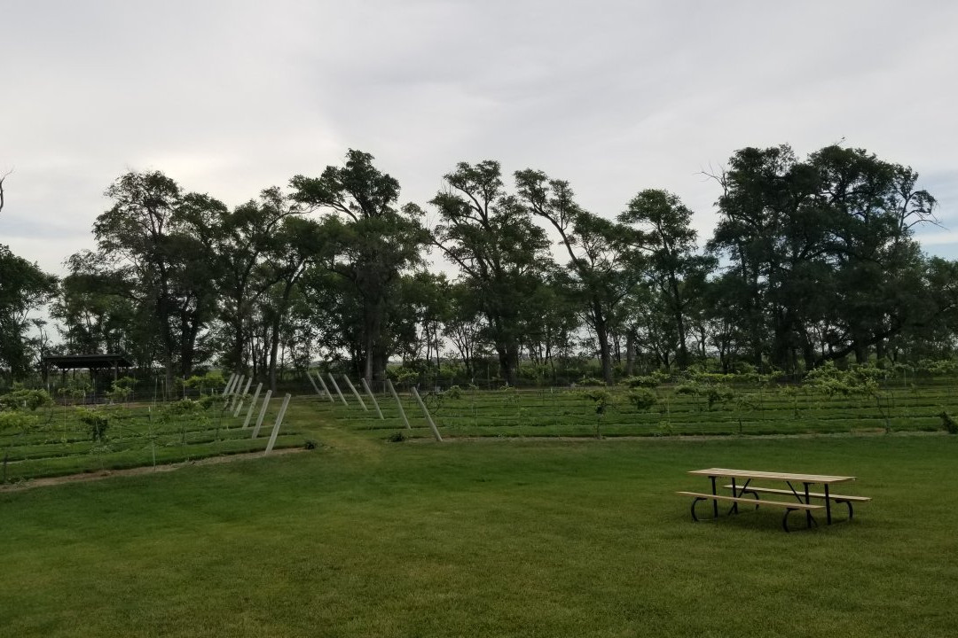 Mac's Creek Winery & Brewery景点图片