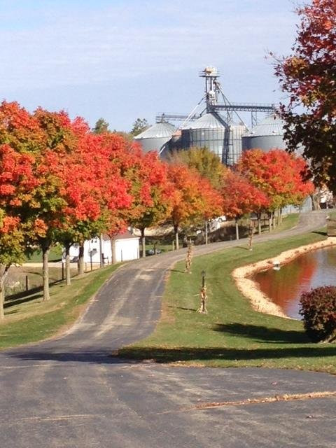 The Country Experience主图