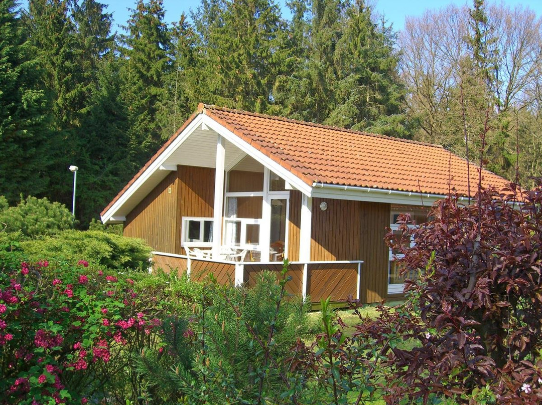 Ferienpark AM WALDRAND主图