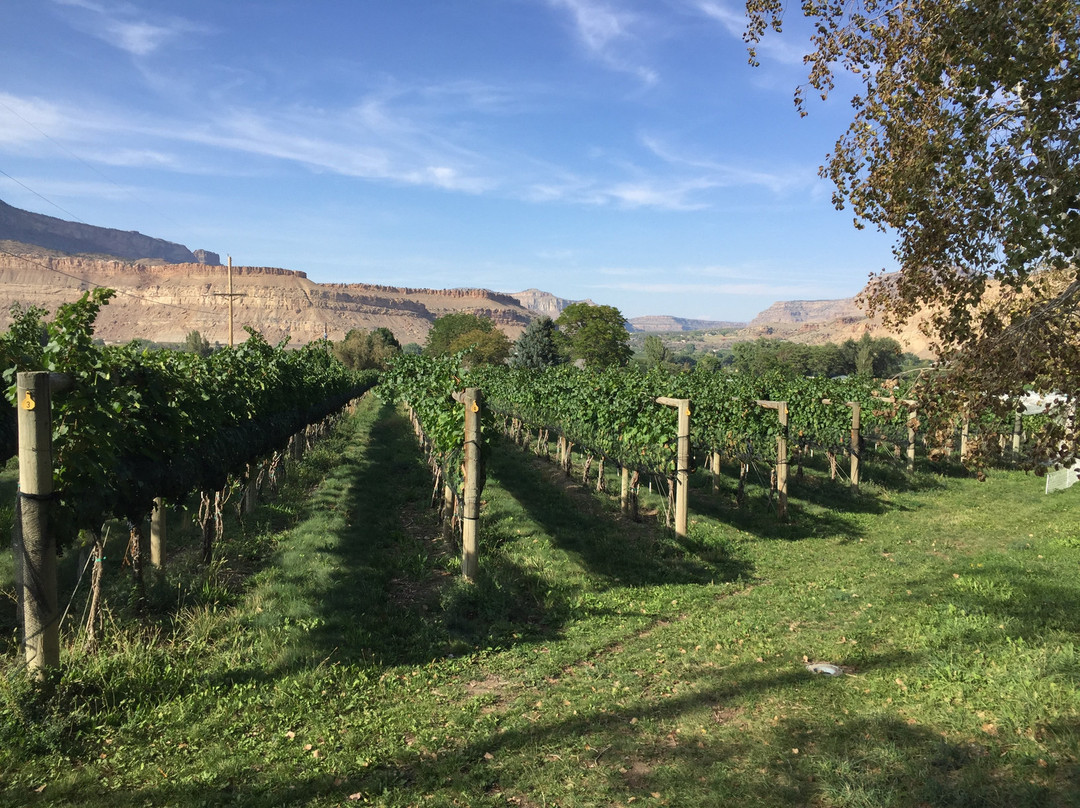 Bookcliff Vineyards-Palisade必去景点