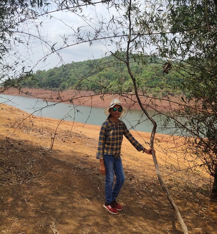 Dandeli Dreams Homestay主图