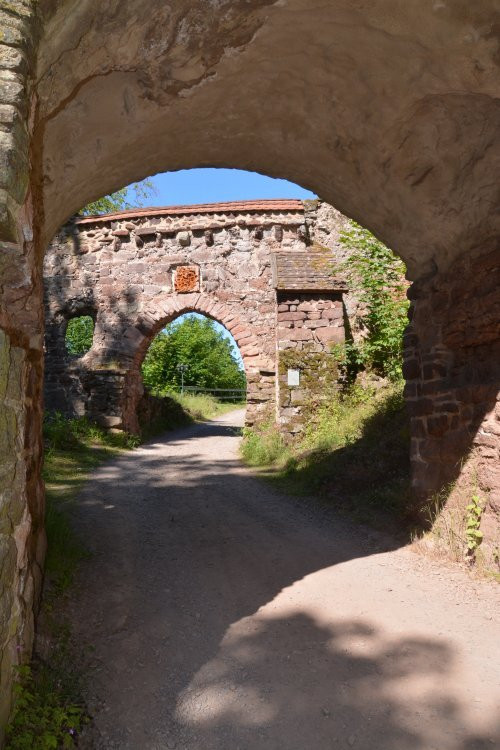 Burgruine Hohnstein景点图片