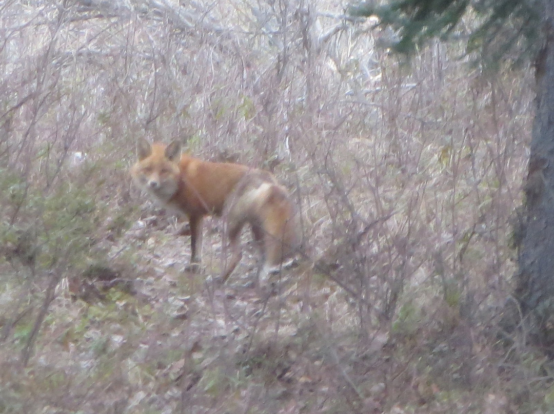先驱者公园贝斯特韦斯特优质酒店主图