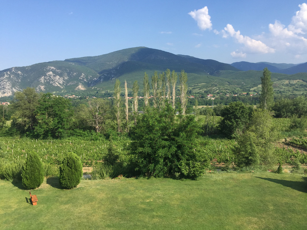 Popova Kula Hotel & Winery主图