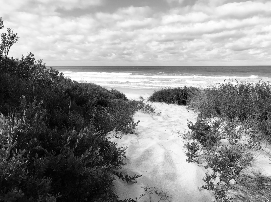 Stockyard Hill Surf Beach景点图片