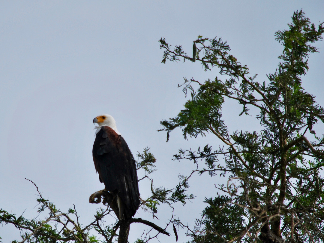 Golden Trekkers-Ruhengeri必去景点