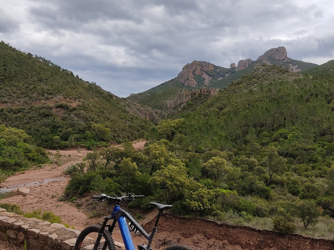 MoovBike景点图片