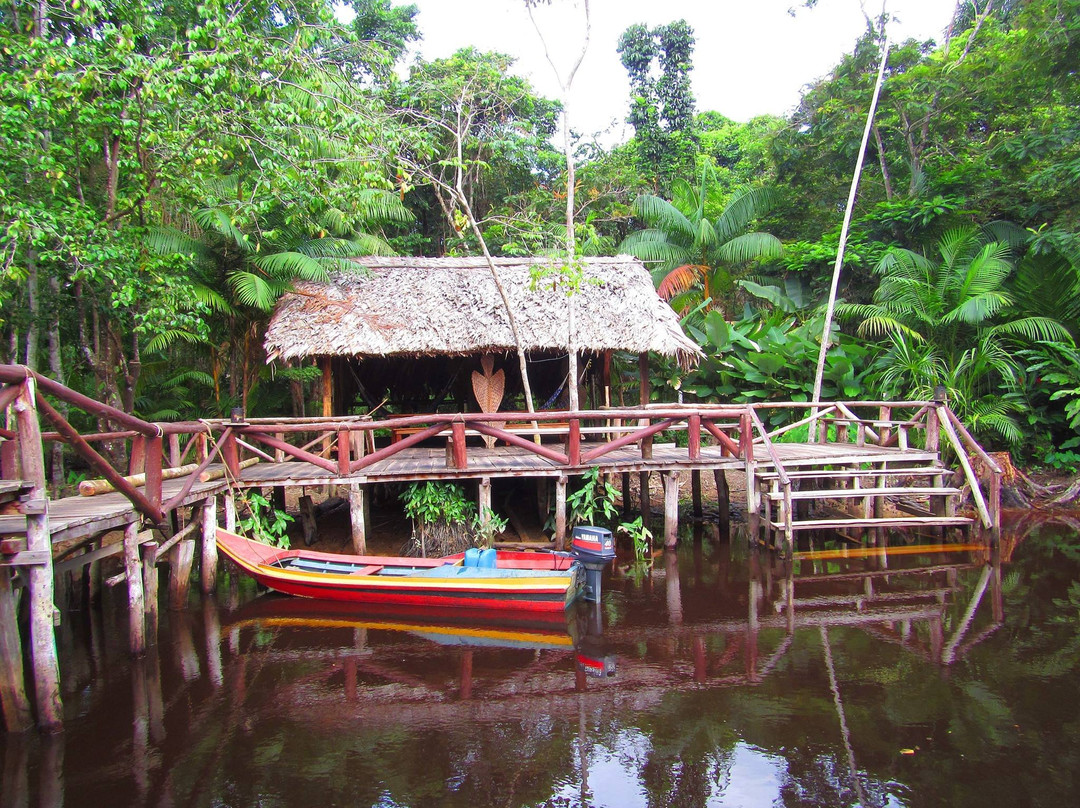 Orinoco Delta景点图片