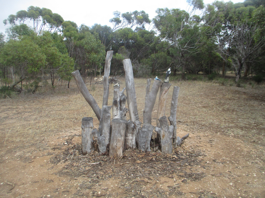 Edithburgh Flora Reserve景点图片