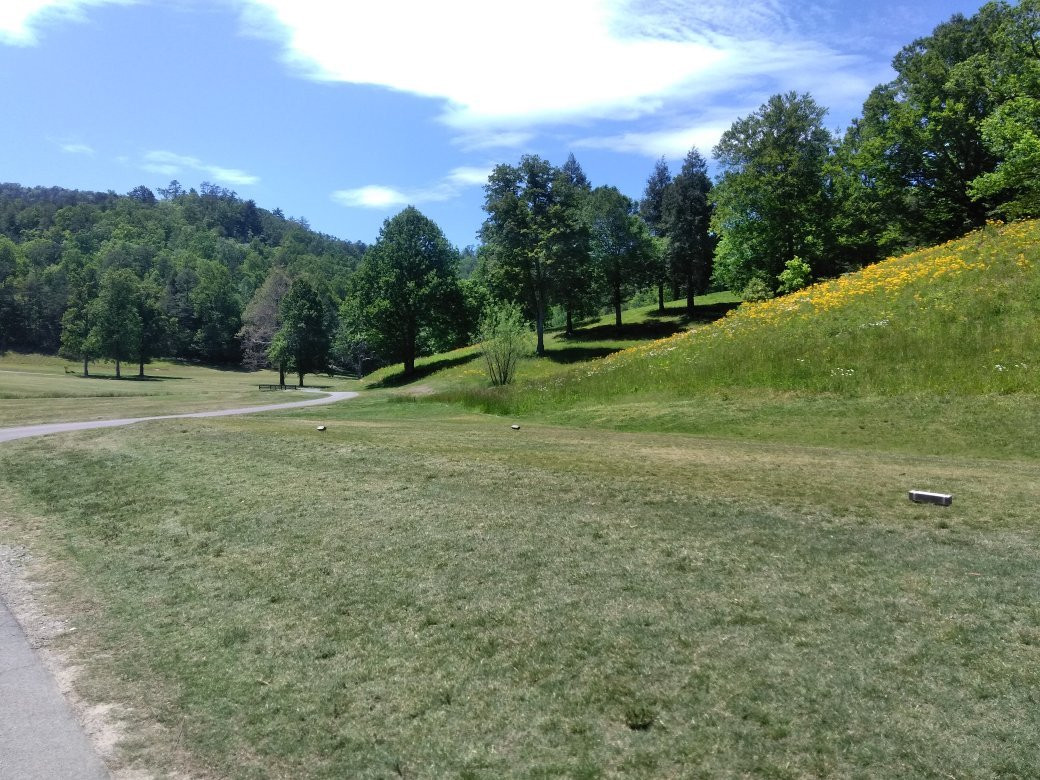 Wild Laurel Golf Course景点图片