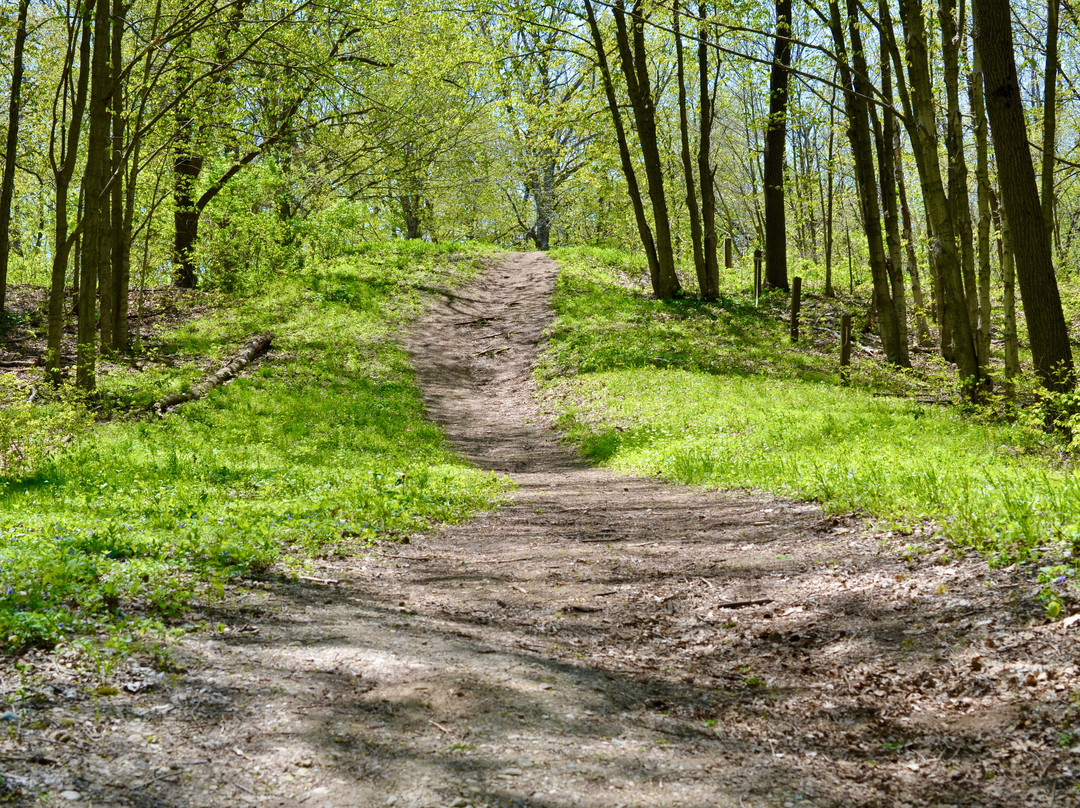Silver Springs State Park-Yorkville必去景点