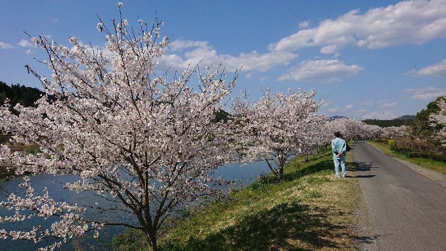 Daigono Sato Michi-no-Eki景点图片