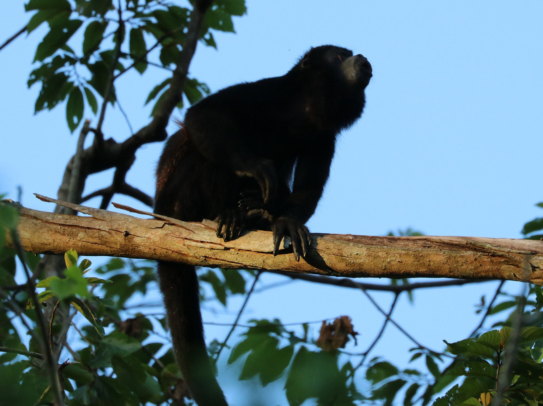 Suizo Loco Lodge Hotel & Resort主图