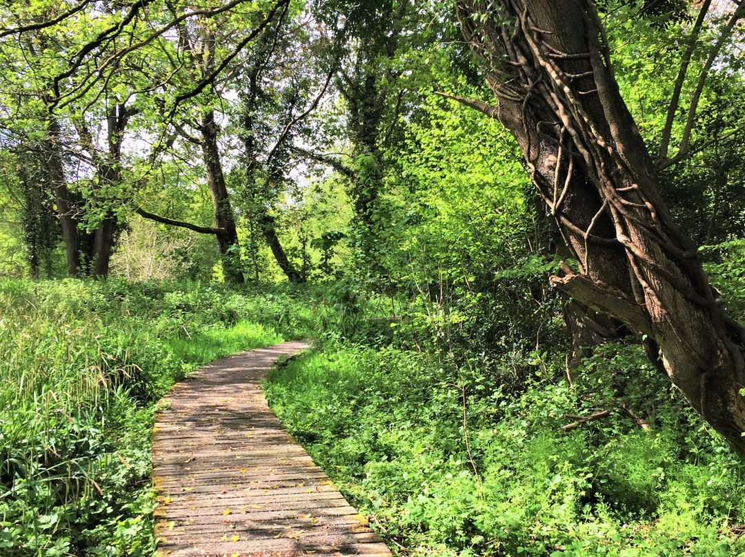 Crane Valley Local Nature Reserve景点图片